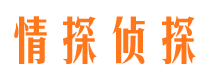 囊谦寻人公司